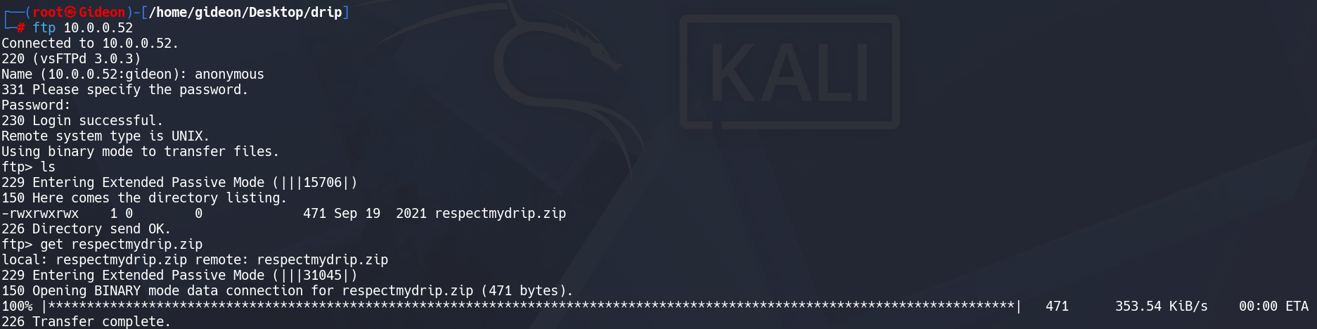 drip ftp archivo.png